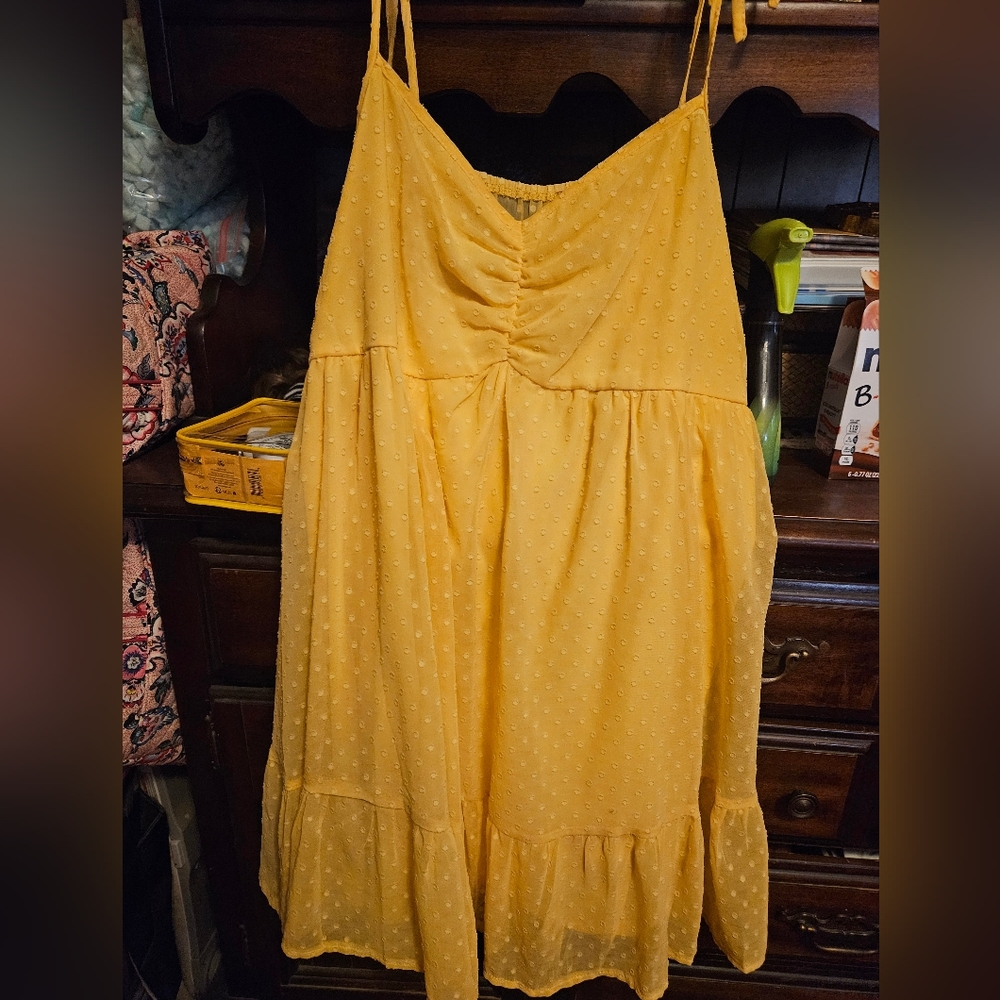 Beautiful swiss dot mini dress/top